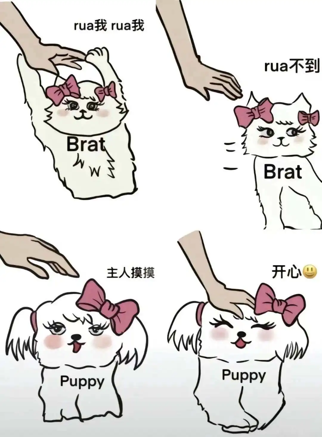 西檬之家BDSM入圈指南 一