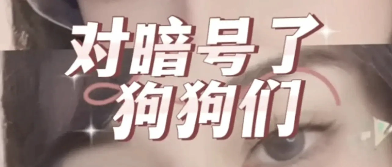 西檬之家k9是什么？字母圈新人入圈 一