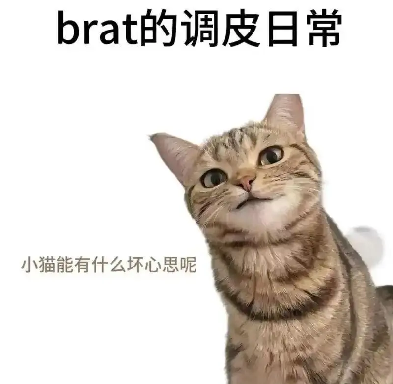 西檬之家斯慕圈是什么？你的属性是什么 一