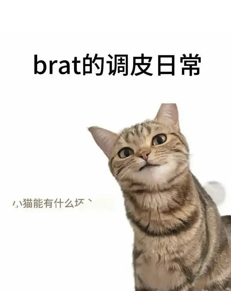 西檬之家s属性是什么?字母圈新人入圈 一