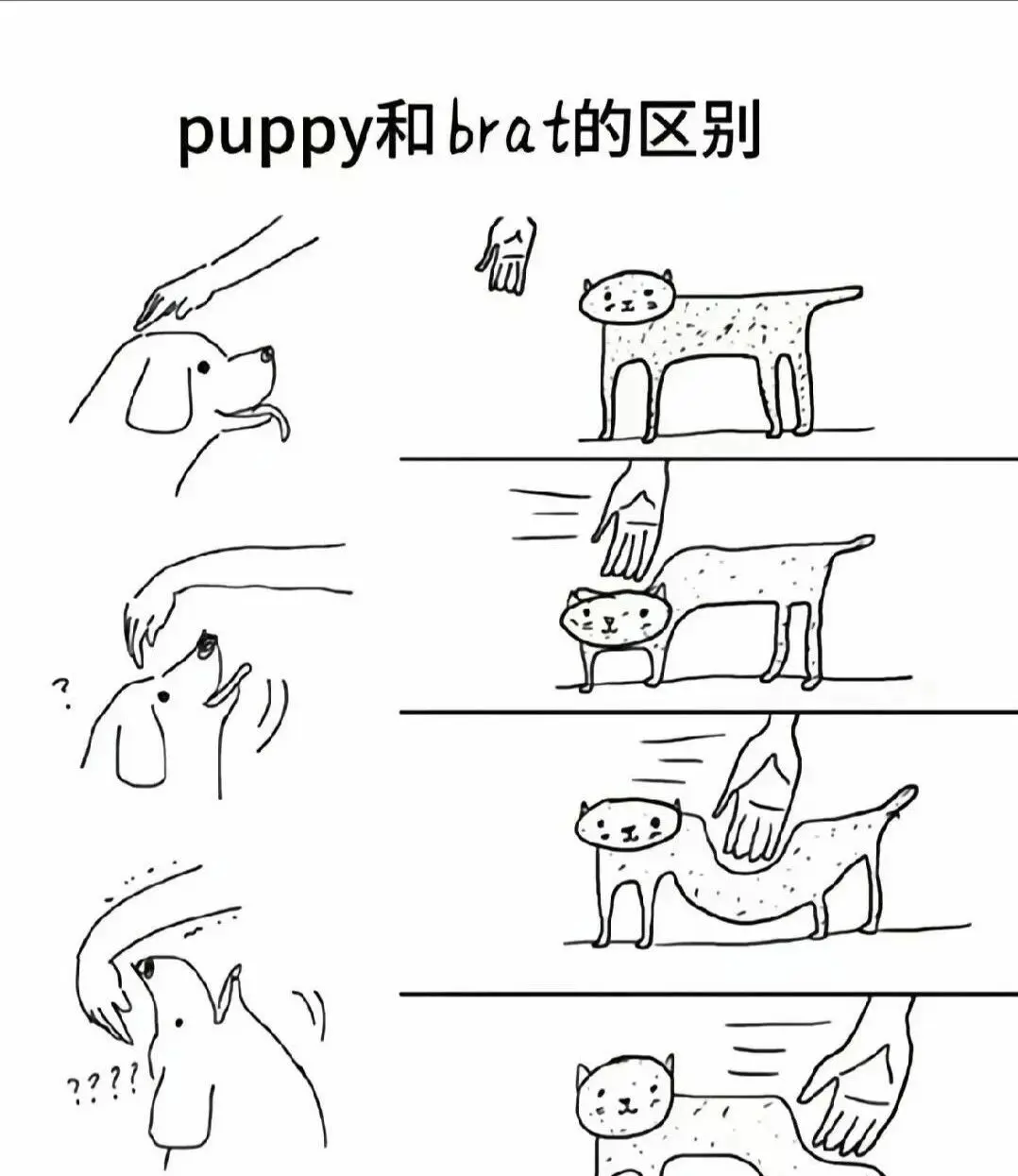 西檬之家k8是什么？字母圈新人入圈 一