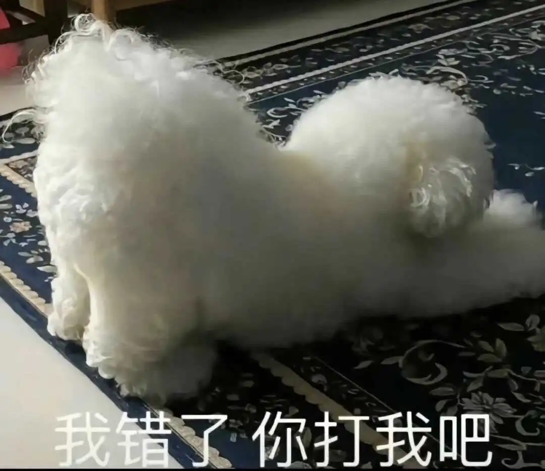 西檬之家ddlg是什么？ 一