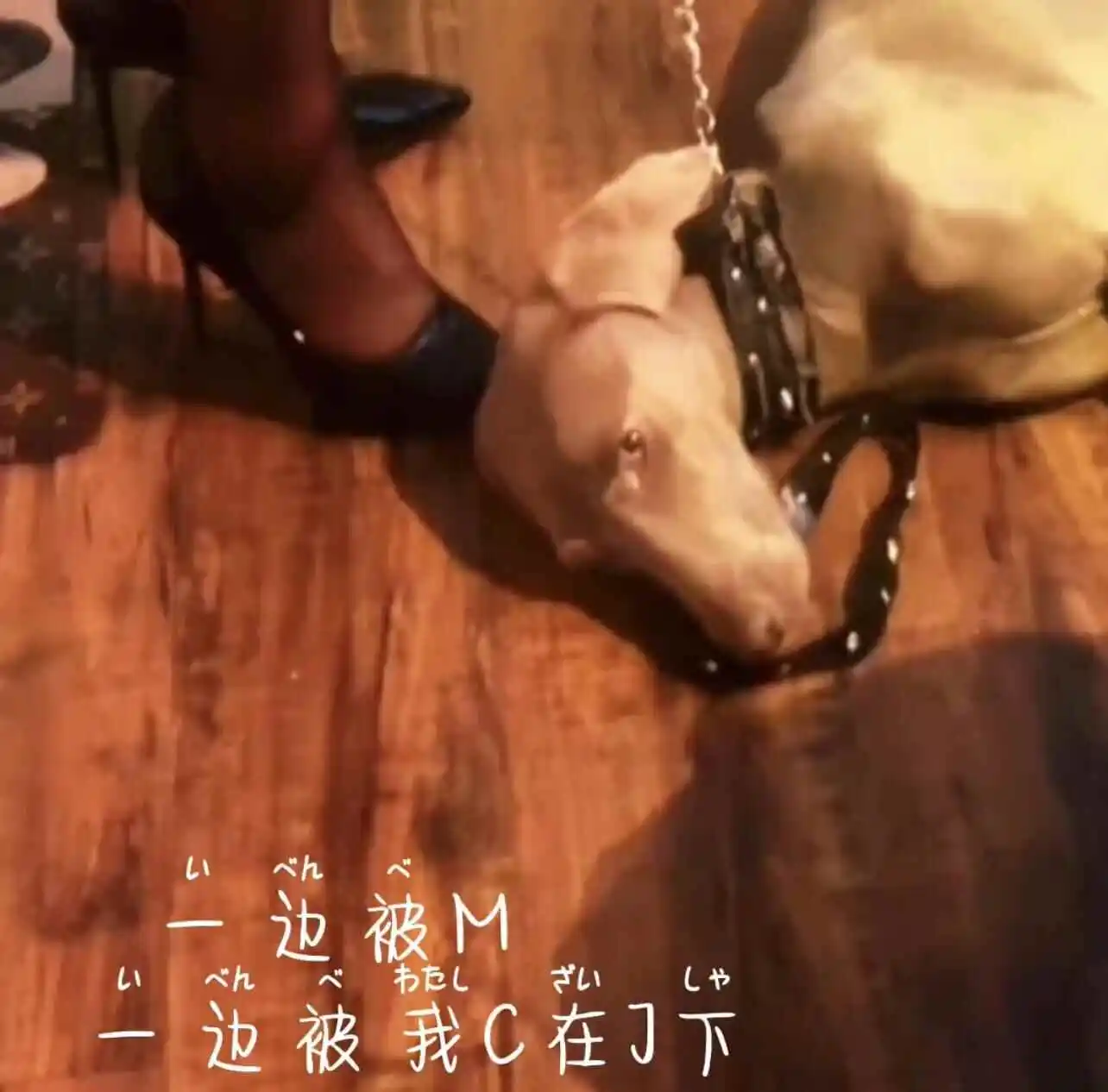西檬之家s属性是什么意思？ 一