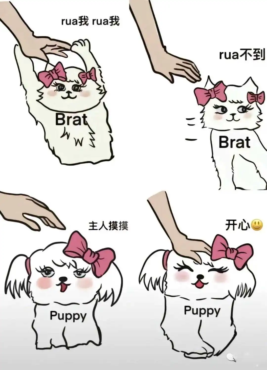 西檬之家Sub是什么？字母圈新人入圈 一