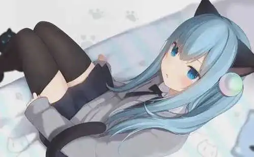 西檬之家DS关系入门指南 一