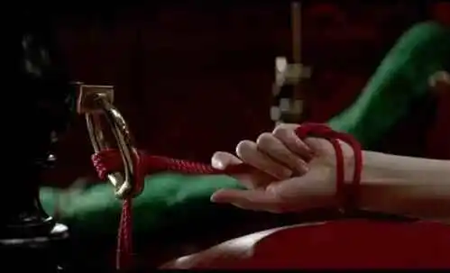 西檬之家k8猫系怎么养?字母圈新人入圈 一